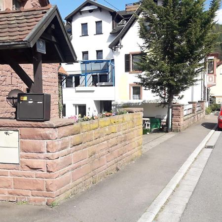 Grosse Wohnung Im Odenwald 1 Schonau  Esterno foto